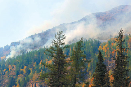 �½�����̩��Ȼ��������������������Ԥ��