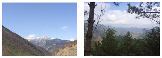 mg����ͻ��(�й���)�ٷ���վ