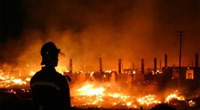 ���˰�������ɭ�ֻ����������� �׻���Ƶ�� ɭ�ַ��𲿷�ȫ���Ը���ѧӦ��