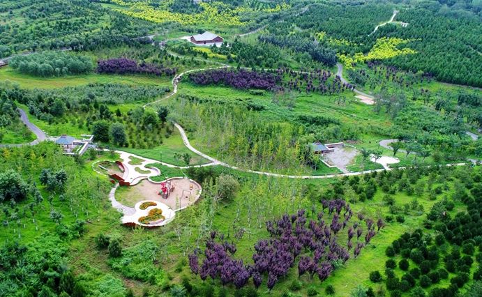 ����δ��ȼ����������������ɽ����ɭ�֡�����ǽ����