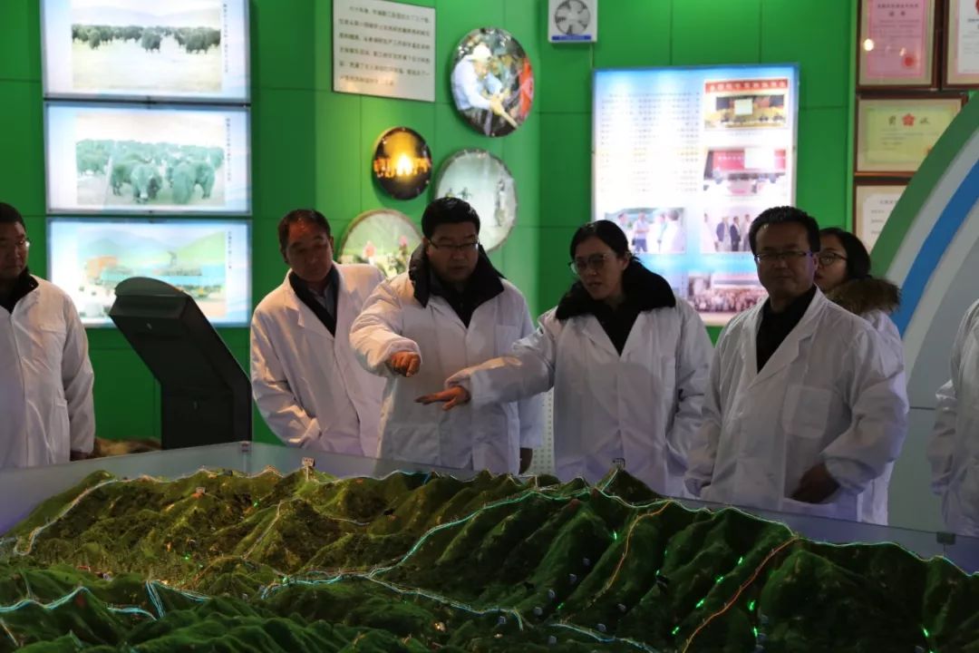 mg����ͻ��(�й���)�ٷ���վ