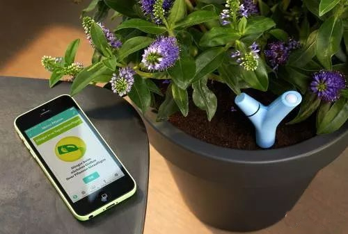 mg����ͻ��(�й���)�ٷ���վ