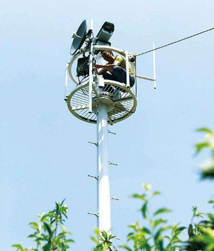 mg����ͻ��(�й���)�ٷ���վ