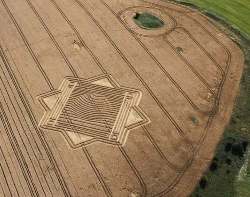 mg����ͻ��(�й���)�ٷ���վ