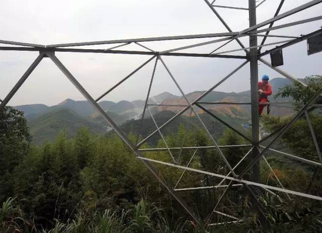 mg����ͻ��(�й���)�ٷ���վ