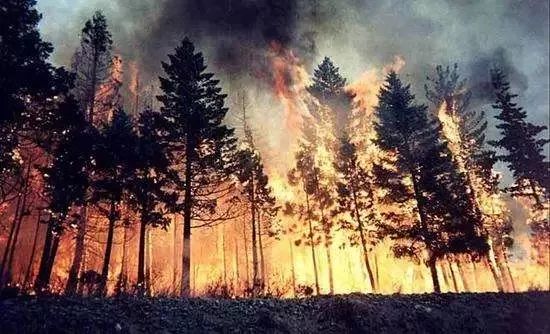 mg����ͻ��(�й���)�ٷ���վ