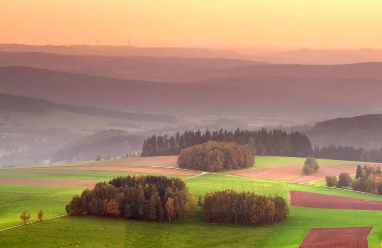 mg����ͻ��(�й���)�ٷ���վ