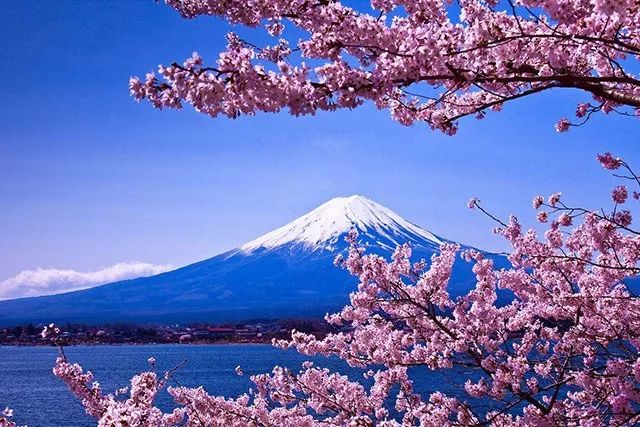 mg����ͻ��(�й���)�ٷ���վ