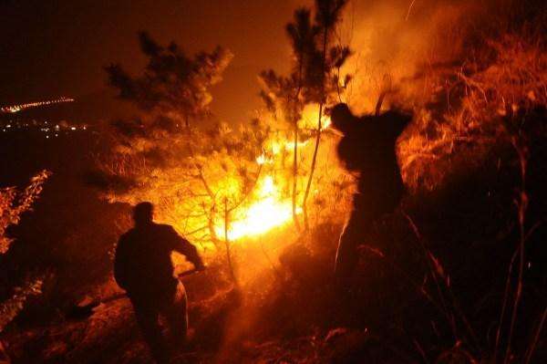 mg����ͻ��(�й���)�ٷ���վ