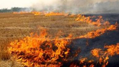 �ո�¶��ȼ��Σ���ж��?¶��ȼ�ո߼���Ƶ����Ѷ��ж��?