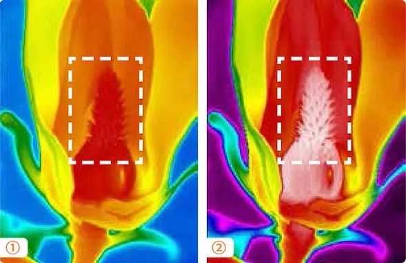 mg����ͻ��(�й���)�ٷ���վ