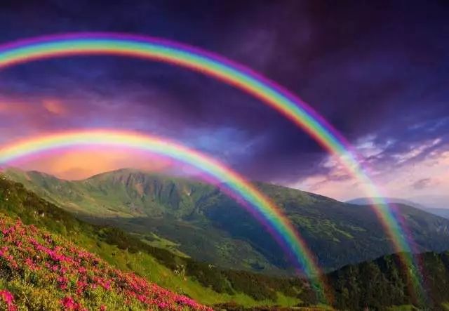 mg����ͻ��(�й���)�ٷ���վ