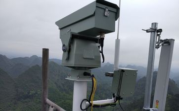 ɭ�ַ��� | �ֻ���ķ�����ʲô������������