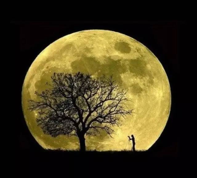 mg����ͻ��(�й���)�ٷ���վ