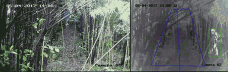 mg����ͻ��(�й���)�ٷ���վ