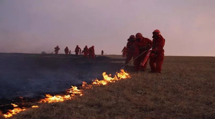 mg����ͻ��(�й���)�ٷ���վ