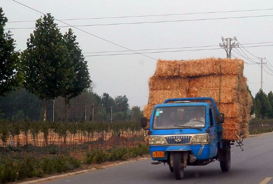 mg����ͻ��(�й���)�ٷ���վ