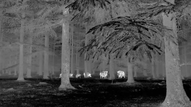 mg����ͻ��(�й���)�ٷ���վ