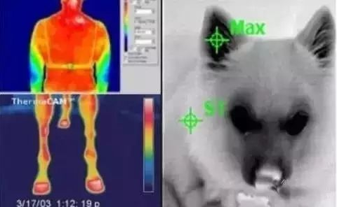 mg����ͻ��(�й���)�ٷ���վ