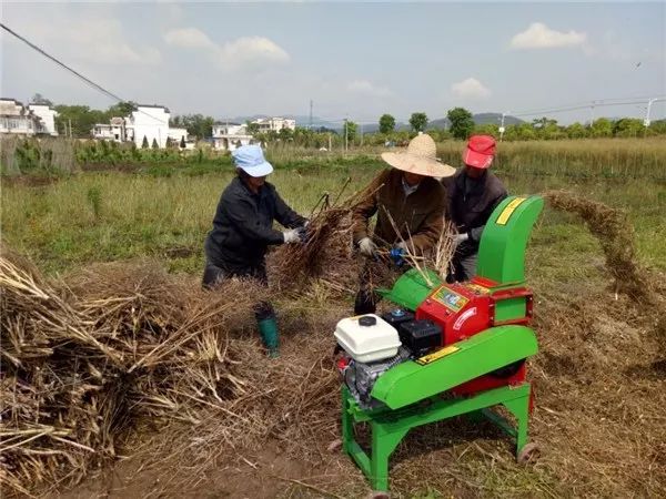 ��ץ�ոѽ��գ���������������ô�ɣ�