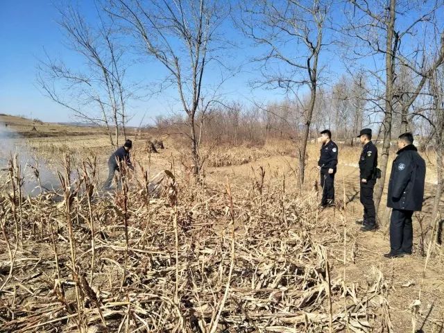 ���|����ɭ�ַ��𿪴�ʮ���������ˮƽ��ɶ