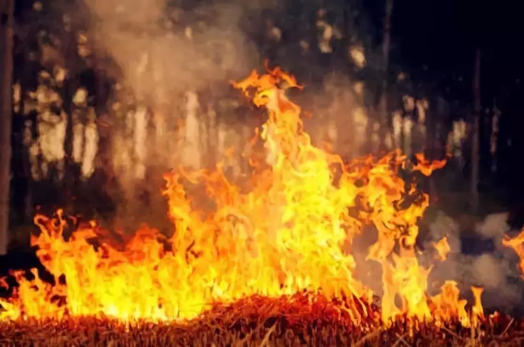 mg����ͻ��(�й���)�ٷ���վ