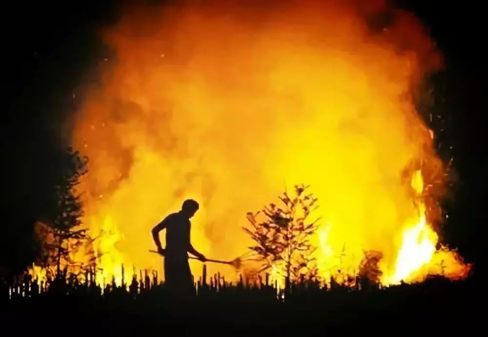 mg����ͻ��(�й���)�ٷ���վ