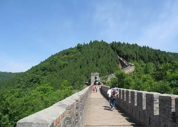 mg����ͻ��(�й���)�ٷ���վ