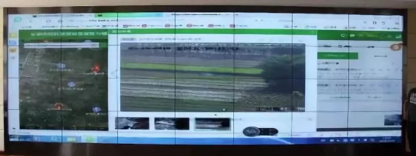 ����ȼ�սոѵ�С���� �������ר�Ŷ�����������������������������