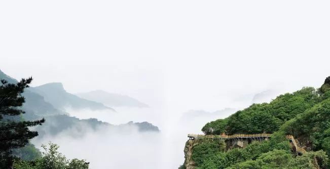 ���Ƹ۽�����12��ɭ�ֹ�԰�����������쿴�������Χ��ô��