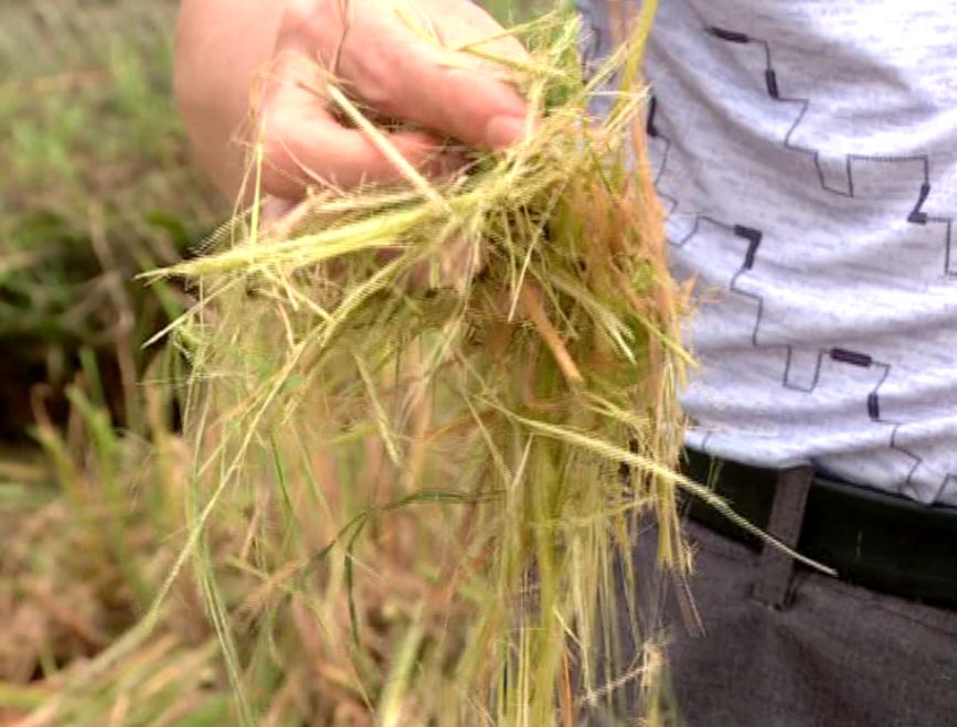 mg����ͻ��(�й���)�ٷ���վ