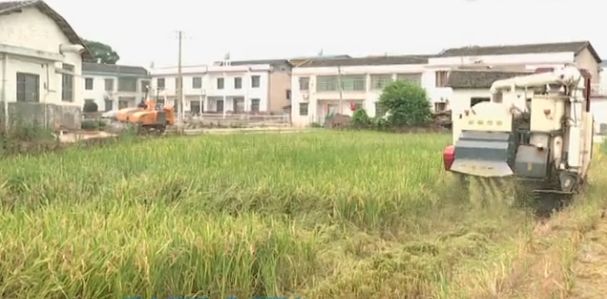 �ո�ȼ������������������NO�����������ʶһ���������������������簲��180���ʽ���ȫ�ƹ�