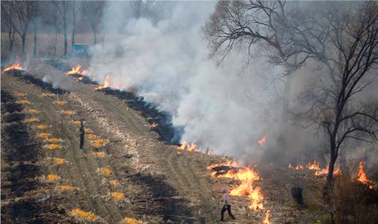 mg����ͻ��(�й���)�ٷ���վ