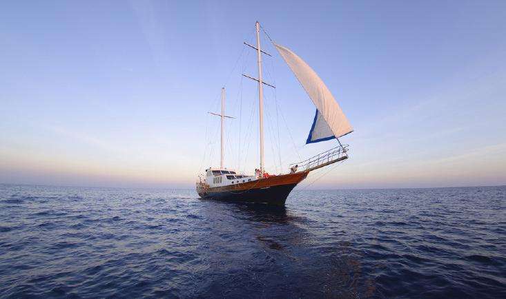 mg����ͻ�ƹ�����ں��º�����Ƶ��ؽ���ƻ�