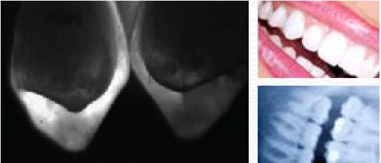 mg����ͻ��(�й���)�ٷ���վ