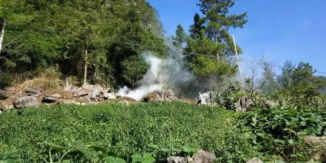 mg����ͻ��(�й���)�ٷ���վ