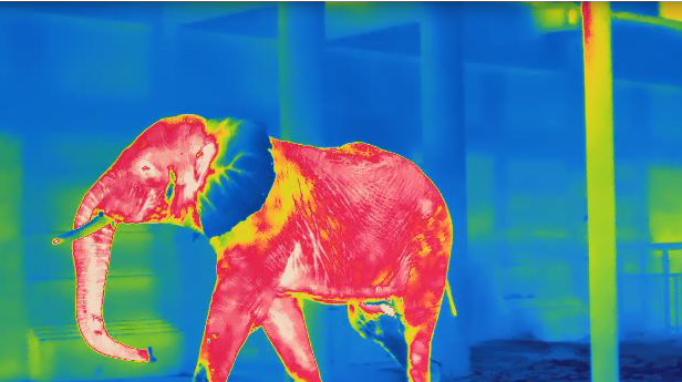 mg±ùÇòÍ»ÆÆ(ÖйúÓÎ)¹Ù·½ÍøÕ¾