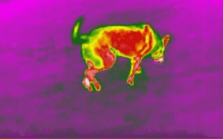 mg����ͻ��(�й���)�ٷ���վ