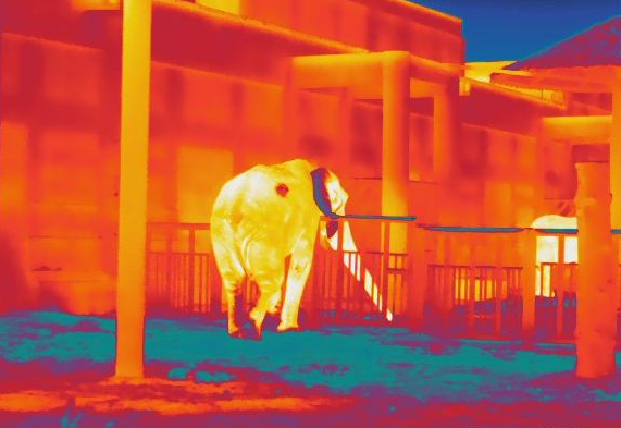 �ȹŰ������Ǹ����ʡ��ֳ�������ʵ��