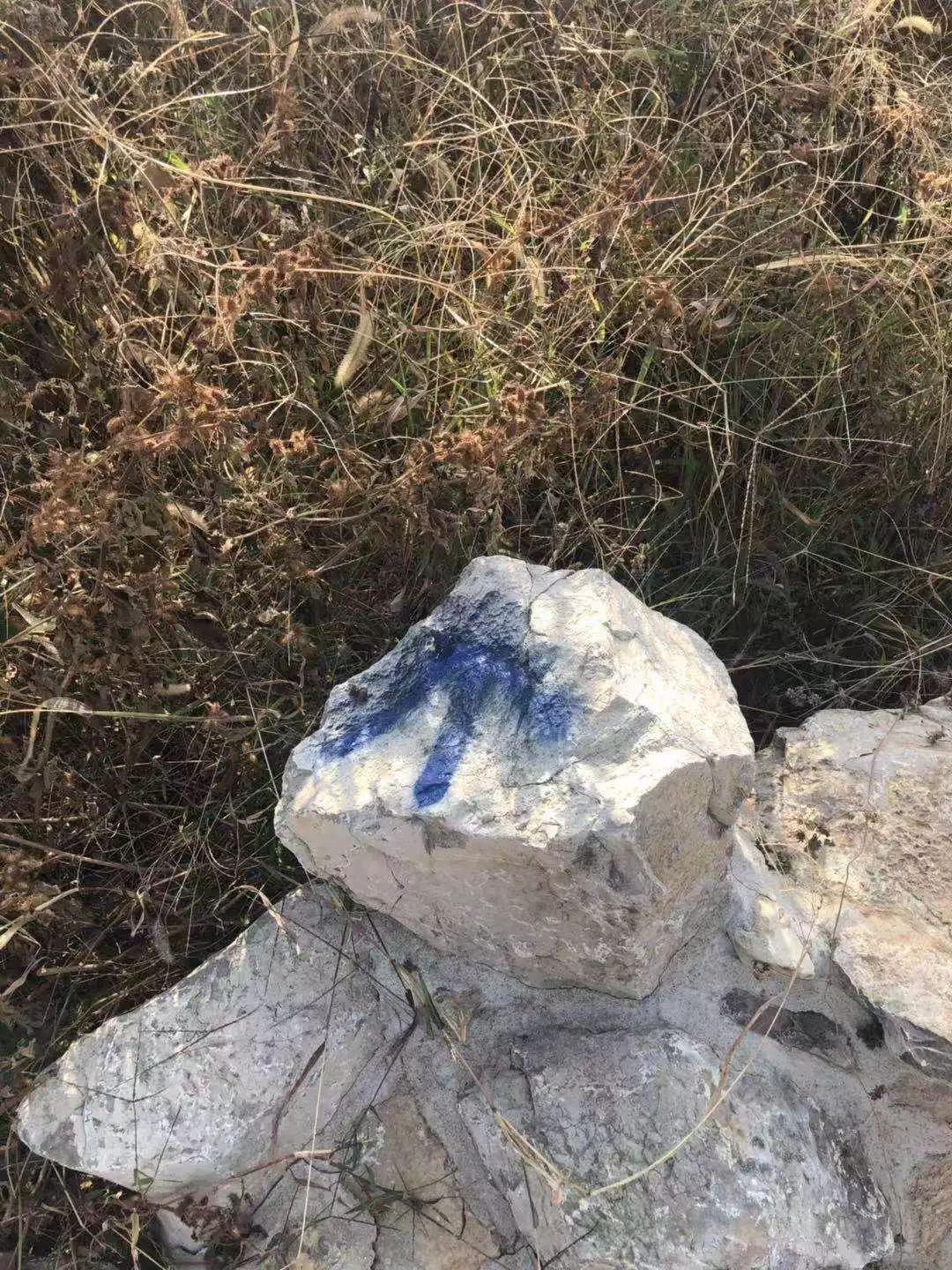 mg����ͻ��(�й���)�ٷ���վ