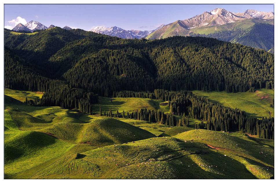 ���ת̨�����˻����������������μ��������ġ��ڿƼ���