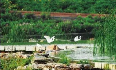 mg����ͻ��(�й���)�ٷ���վ