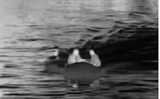 mg����ͻ��(�й���)�ٷ���վ