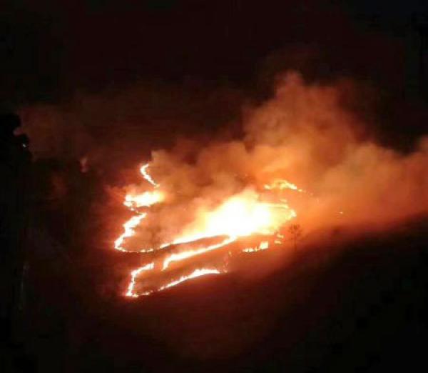 �Ĵ����β��������ݾ��ڱ����ϴ����ɭ�ֻ��֣����������������˾�