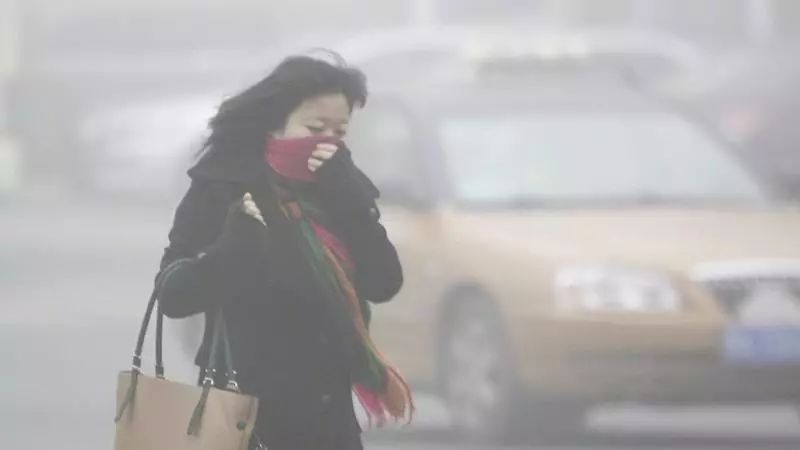 mg����ͻ��(�й���)�ٷ���վ