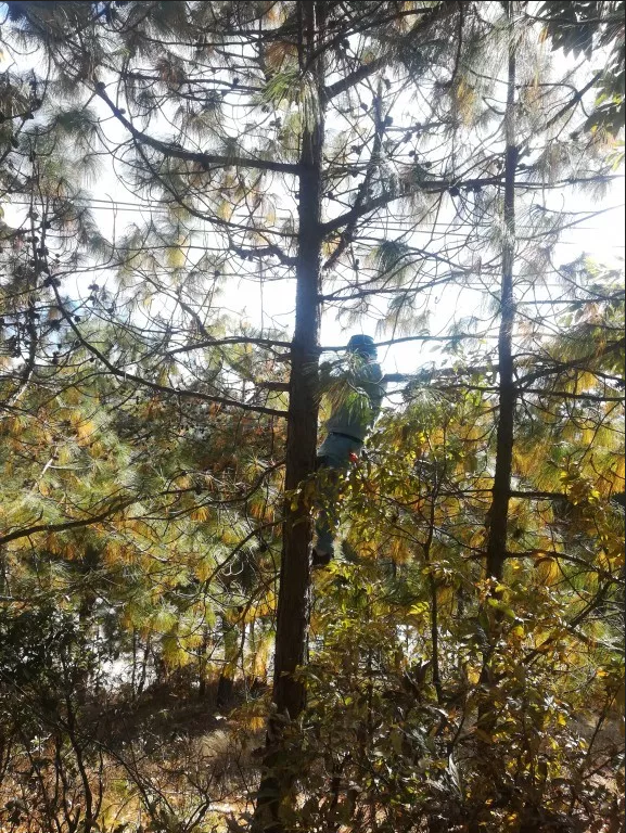 Ѱ�鹩��֣�δ����ѷ���ɽ��