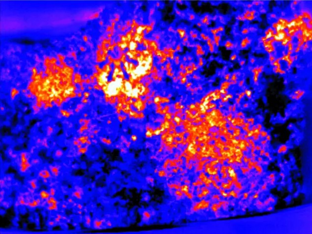 mg����ͻ��(�й���)�ٷ���վ