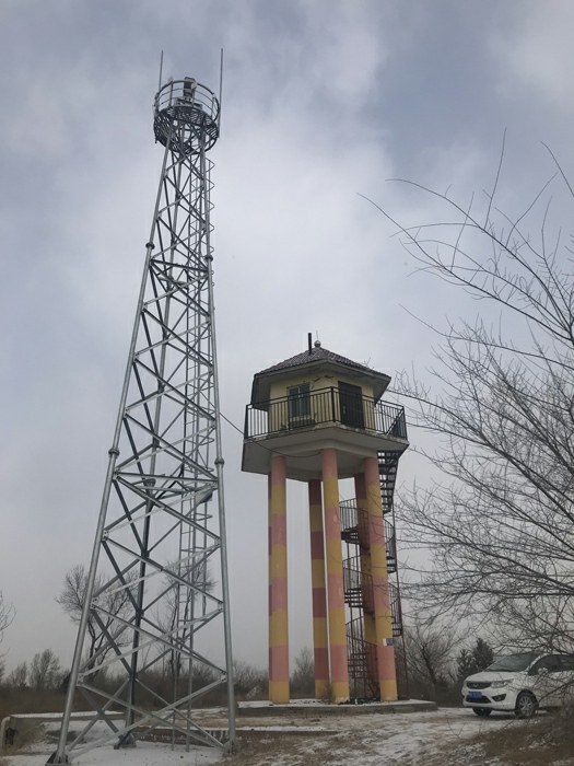 ֲ�����֣������������ҵ�---��������ɭ�ַ�����Ƶ���ϵͳ