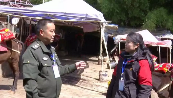 mg����ͻ��(�й���)�ٷ���վ