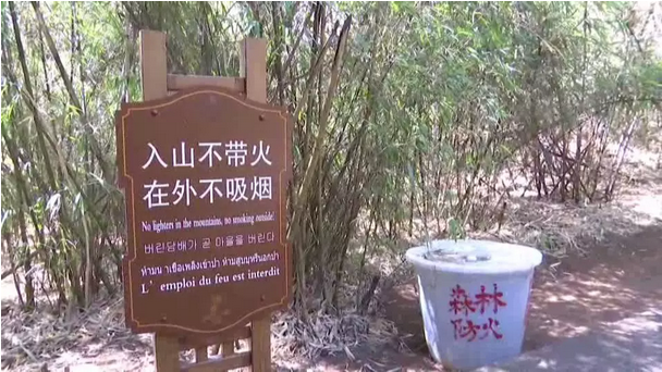 �ޣ�����ɽ����һ��35����ɭ�ֻ�������������������������...